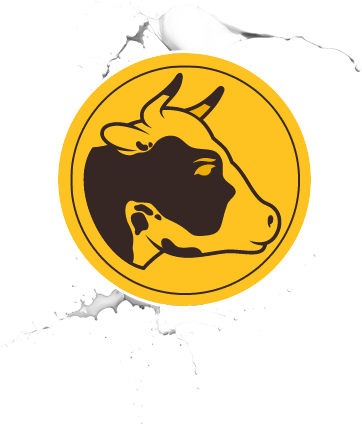 Pure Valley Creamery Dairy Cows