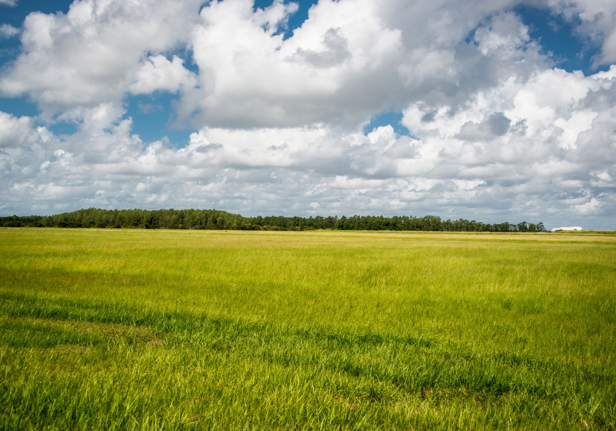 Farm Open Day
